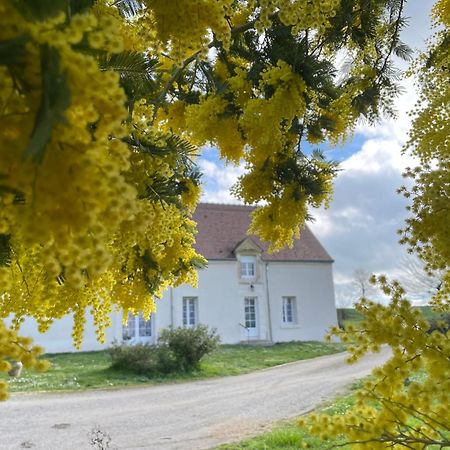 Вилла Les Mimosas Gracay Экстерьер фото