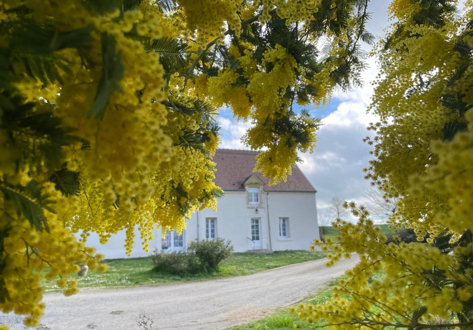 Вилла Les Mimosas Gracay Экстерьер фото